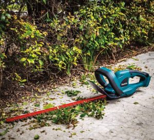 Best hedge trimmer reviews
