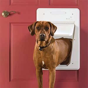 Best Dog Door Reviews Consumer Ratings & Reports